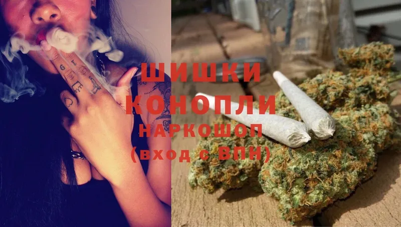 купить   Елизово  Бошки марихуана White Widow 